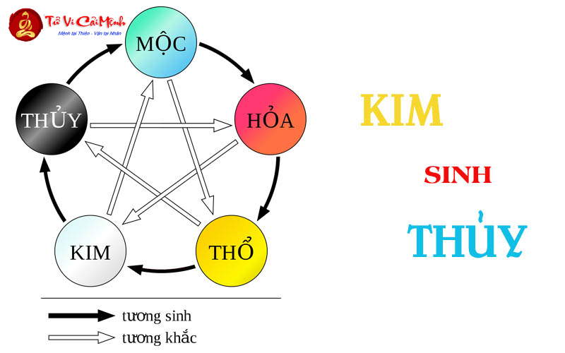 Kim Sinh Thủy - Quy Luật Tương Sinh Ngũ Hành Cơ Bản