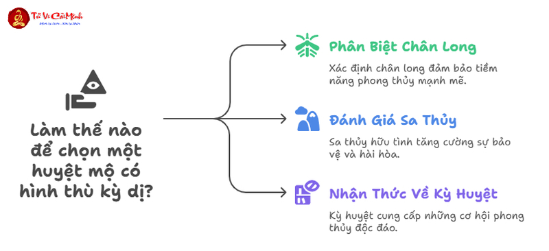 Long Hổ Hình Thù Kỳ Dị: Bí Mật Địa Lý Phong Thủy Trong Tìm Kiếm Huyệt Mộ