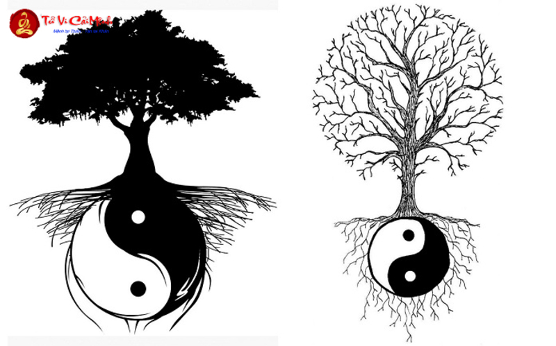 Luận Về Âm Dương Và Lậu Thai: Nghệ Thuật Cân Bằng Năng Lượng Trong Phong Thủy
