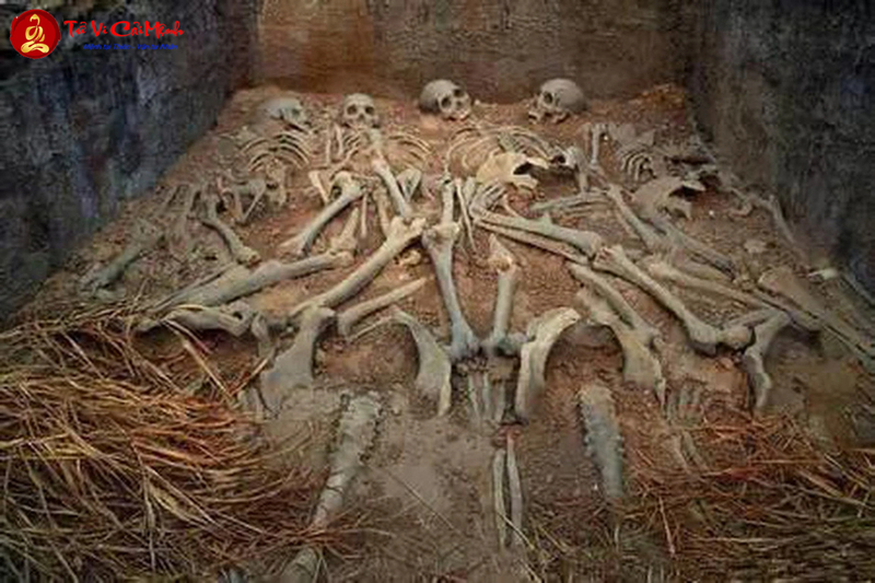 Mai T&aacute;ng V&agrave; Việc Gi&aacute;o Dục H&ocirc;n Nh&acirc;n Gia Đ&igrave;nh