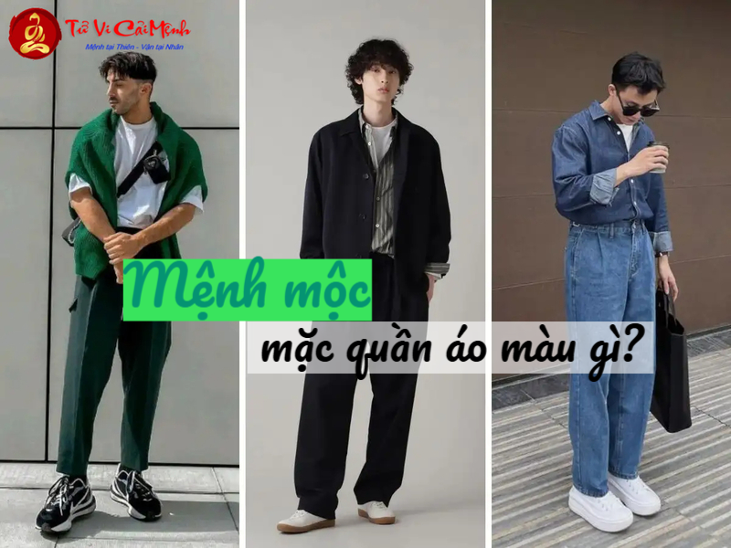 Mệnh Mộc Mặc Quần Áo Màu Gì? Hướng Dẫn Chọn Màu Sắc Hợp Phong Thủy