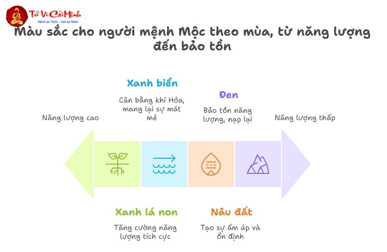 Mệnh Mộc Mặc Quần Áo Màu Gì? Hướng Dẫn Chọn Màu Sắc Hợp Phong Thủy