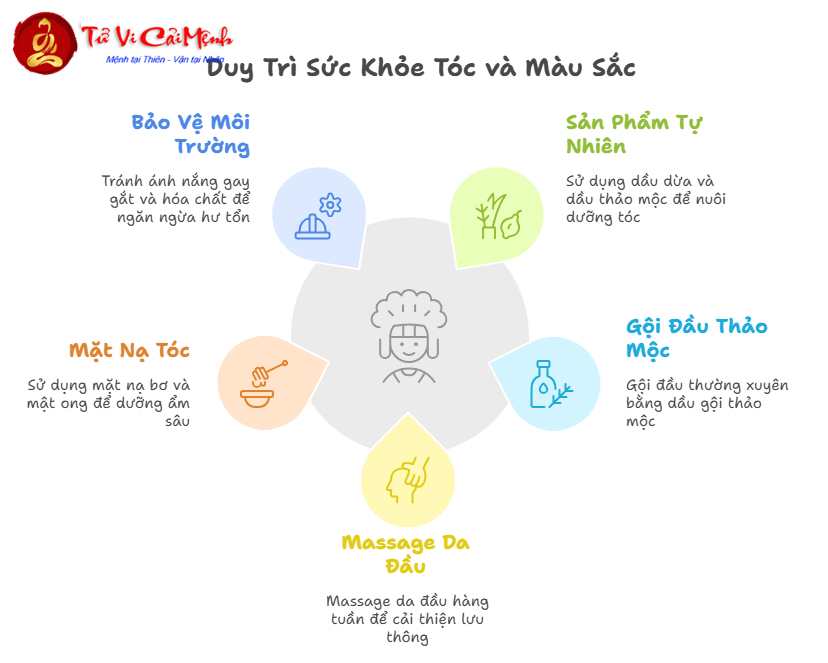 Mệnh Mộc Nhuộm Tóc Màu Gì Mang Lại May Mắn