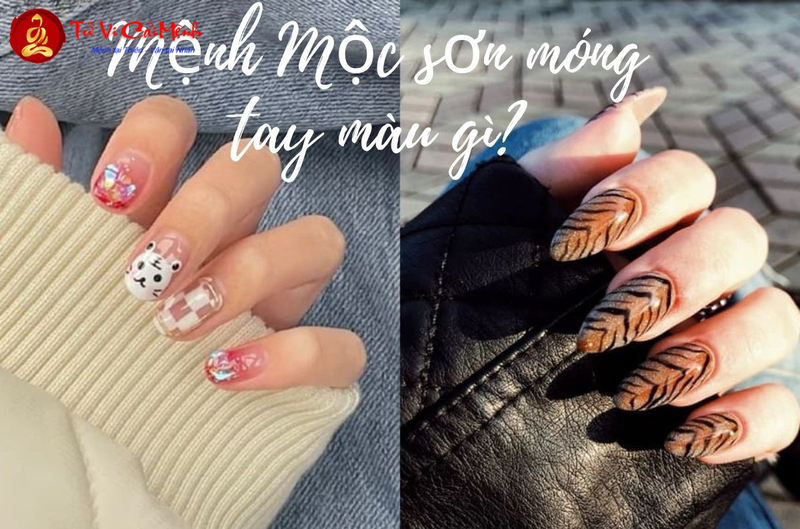 Mệnh Mộc Sơn Móng Màu Gì Hợp Phong Thủy