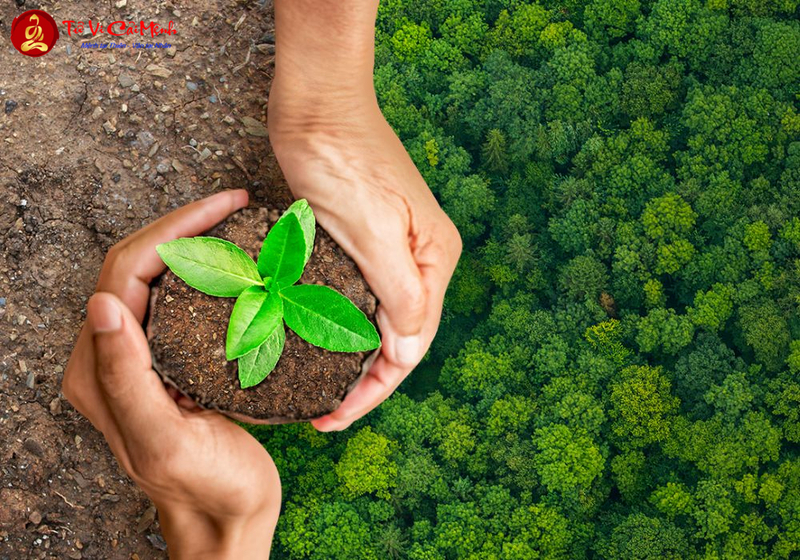 Mộ Táng Và Điều Kiện Địa Lý: Tác Động Của Môi Trường Tự Nhiên Đến Phong Tục Mai Táng