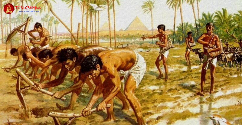 Mộ Thị Tộc Và Xã Hội Thị Tộc