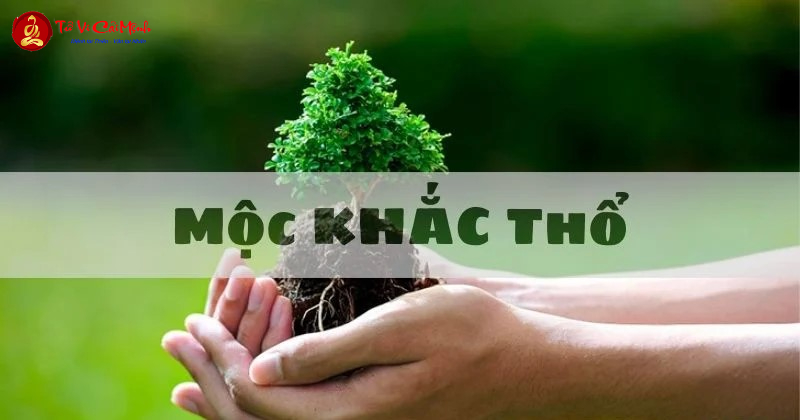 Mộc Khắc Thổ: Hiểu Rõ Quy Luật Tương Khắc Trong Phong Thủy