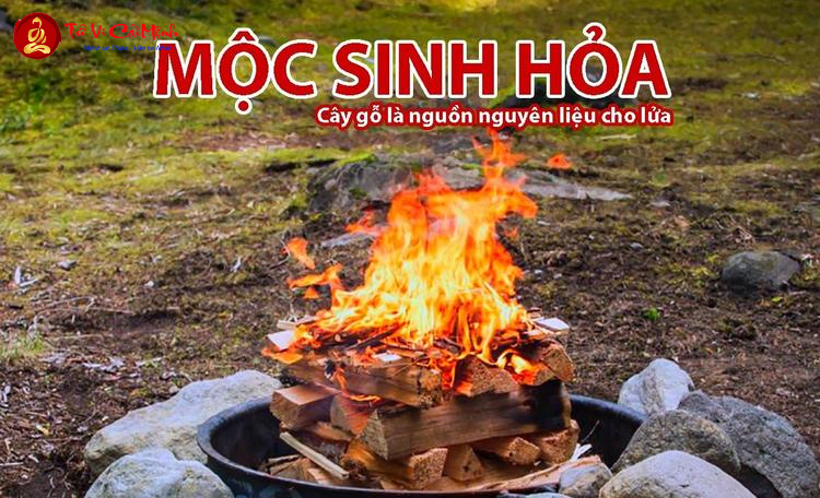 Mộc Sinh Hỏa - Quy Luật Tương Sinh Mạnh Mẽ Trong Phong Thủy