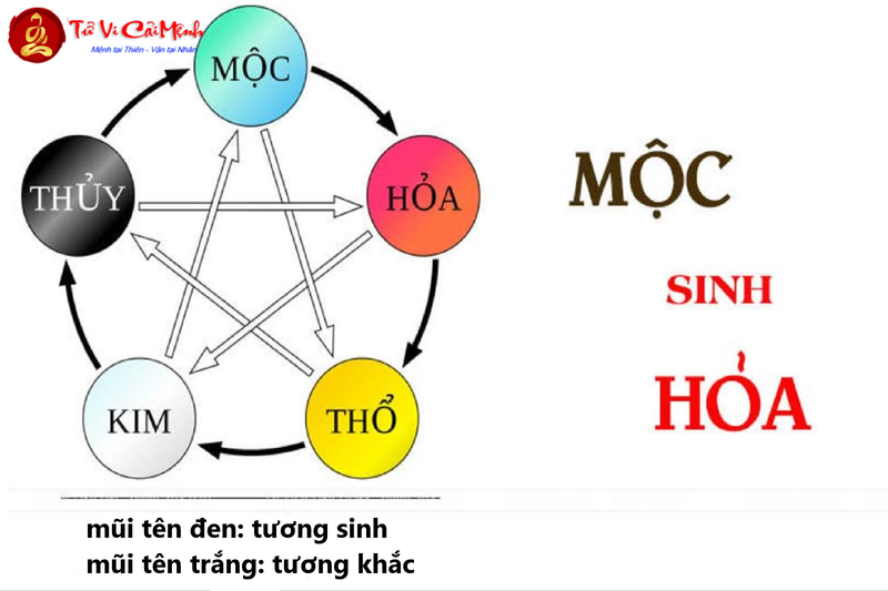 Mộc Sinh Hỏa - Quy Luật Tương Sinh Mạnh Mẽ Trong Phong Thủy