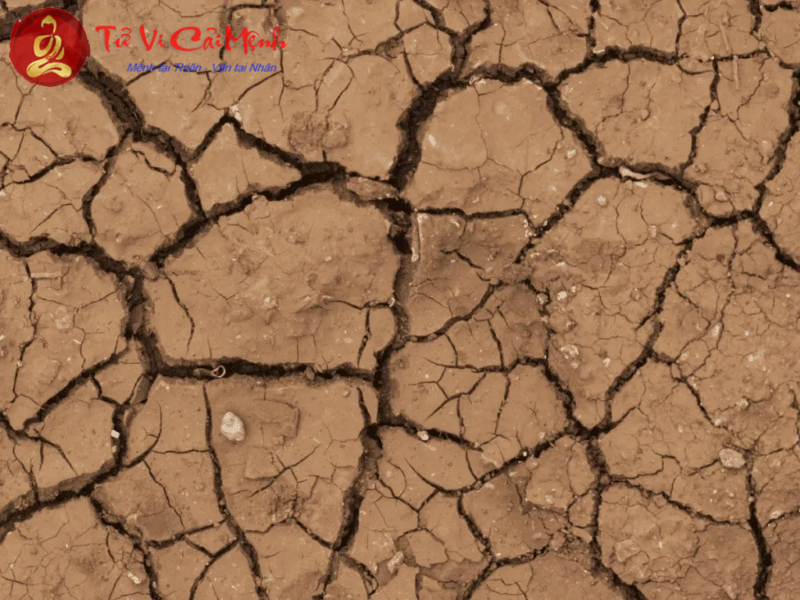 Sự tương hợp giữa Nguy&ecirc;n tố Đất v&agrave; Nguy&ecirc;n tố Đất trong chi&ecirc;m tinh học