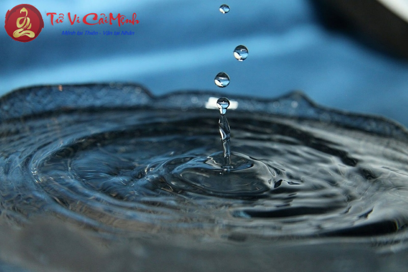 Sự tương hợp giữa Nguy&ecirc;n tố Nước v&agrave; Nguy&ecirc;n tố Nước trong chi&ecirc;m tinh học