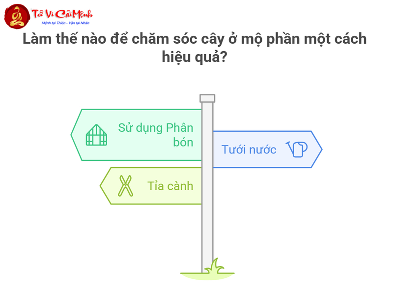 Những Lưu Ý Phong Thủy Âm Trạch Khi Trồng Cây Ở Mộ Phần: Bí Quyết Tạo Sinh Khí Tốt Cho Tổ Tiên