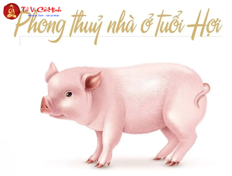 Phong Thủy Nhà Ở Cho Người Tuổi Hợi