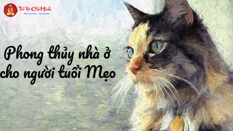 Phong Thủy Nhà Ở Cho Người Tuổi Mẹo: Bí Quyết Tăng Tài Lộc Và May