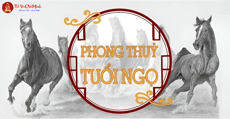 Phong Thủy Nhà Ở Cho Người Tuổi Ngọ: Bí Quyết Tăng Năng Lượng Và Thành Công