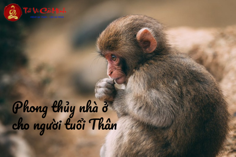 Phong Thủy Nhà Ở Cho Người Tuổi Thân: Nguyên Tắc Cơ Bản Và Bí Quyết Áp Dụng