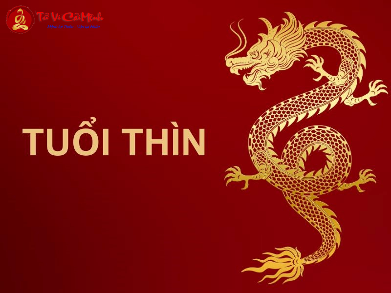 Phong Thủy Nhà Ở Cho Người Tuổi Thìn: Bí Quyết Tăng Quyền Lực Và Thịnh Vượng