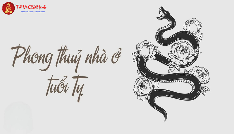 Phong Thủy Nhà Ở Cho Người Tuổi Tỵ: Bí Quyết Tăng Trí Tuệ Và Tài Lộc
