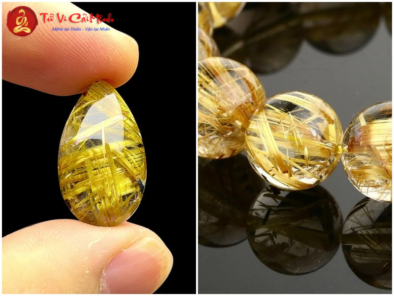 Cung Học Vấn - Bí Quyết Kích Hoạt Trí Tuệ Và Thành Công Học Tập
