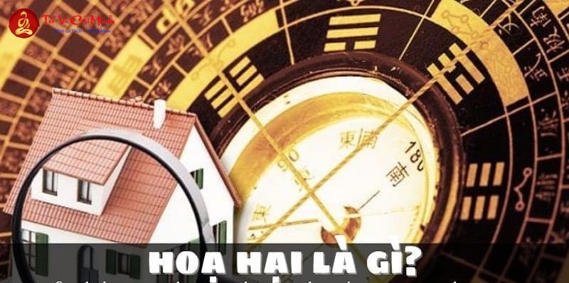 Họa Hại Trong Phong Thủy: Hướng Dẫn Nhận Biết Và Cách Hóa Giải