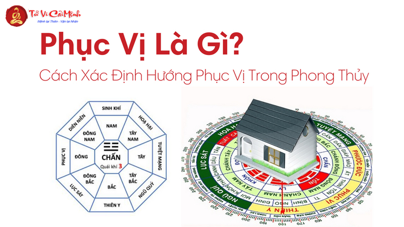 Phục Vị Là Gì? Ý Nghĩa Và Ứng Dụng Hướng Phục Vị Trong Phong Thủy