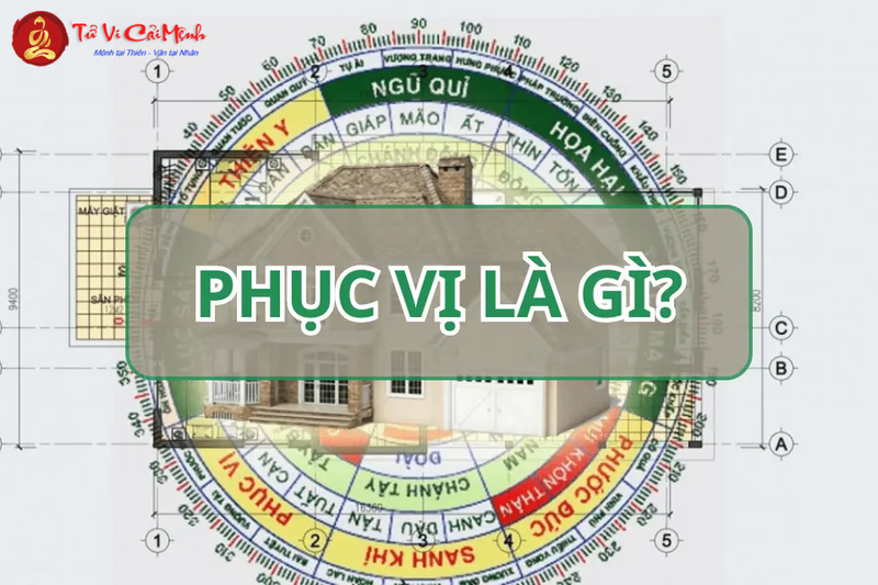 Phục Vị Là Gì? Ý Nghĩa Và Ứng Dụng Hướng Phục Vị Trong Phong Thủy