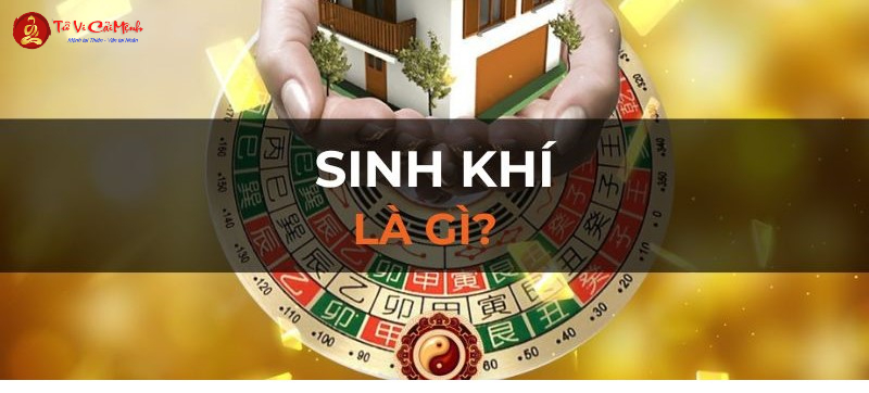 Sinh Khí Trong Phong Thủy: Hướng Dẫn Toàn Diện Về Ý Nghĩa Và Ứng Dụng