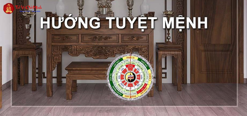 Tuyệt Mệnh Trong Phong Thủy: Hướng Dẫn Nhận Biết Và Hóa Giải Hiệu Quả