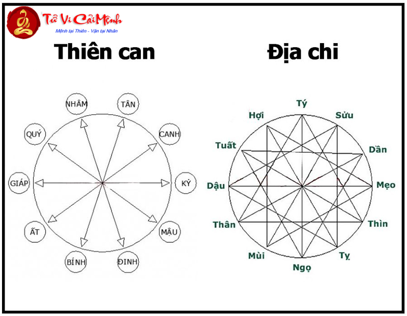 Cách Tính Can Chi Ngày Tháng Năm Chính Xác Và Đơn Giản