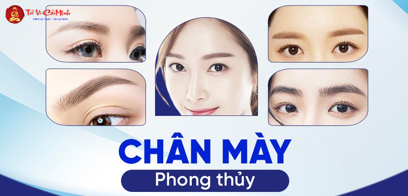 Các Kiểu Chân Mày Phong Thủy: Biểu Tượng Vận Mệnh Trên Gương Mặt