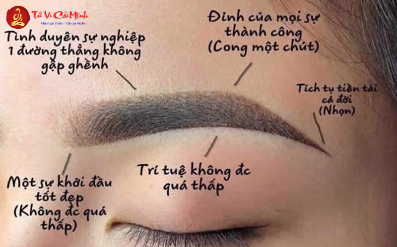 Chân Mày Phong Thủy Cho Mặt Tròn: Nghệ Thuật Cân Bằng Ngũ Quan