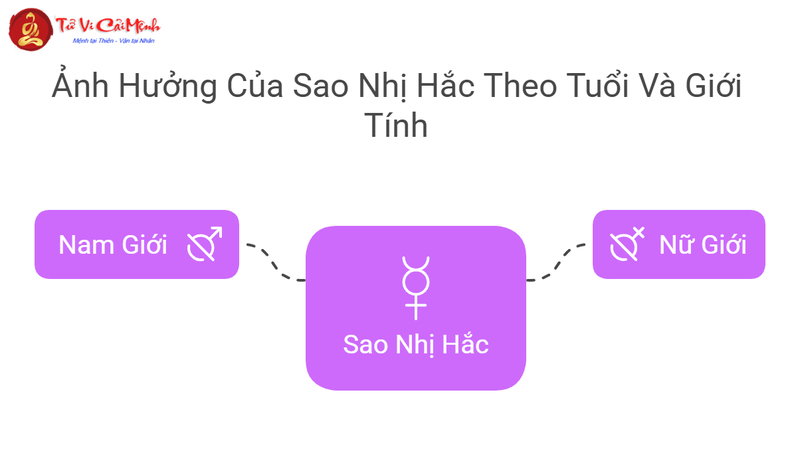 Sao Nhị Hắc Là Gì? Tốt Hay Xấu - Phân Tích Toàn Diện