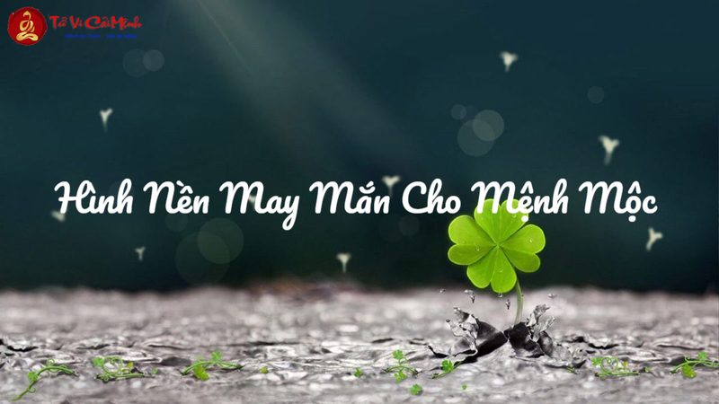 Hình Nền May Mắn Cho Mệnh Mộc: Kích Hoạt Sinh Khí Và Vận May