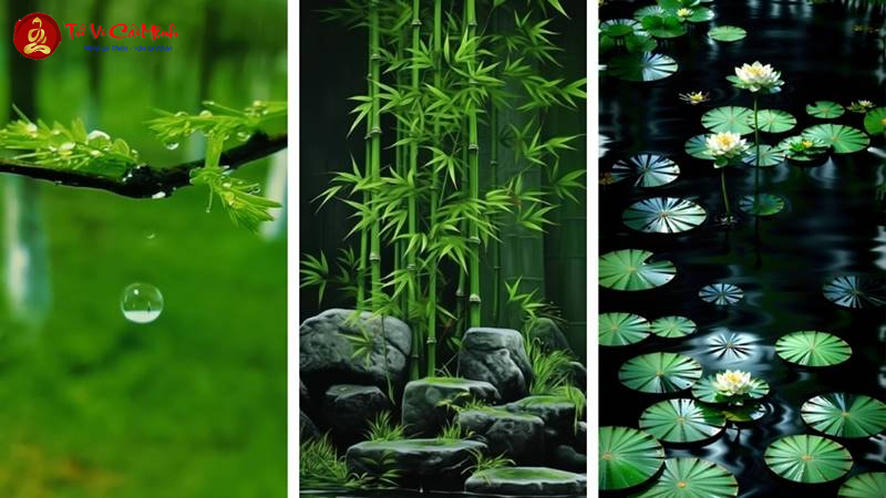 Hình Nền May Mắn Cho Mệnh Mộc: Kích Hoạt Sinh Khí Và Vận May