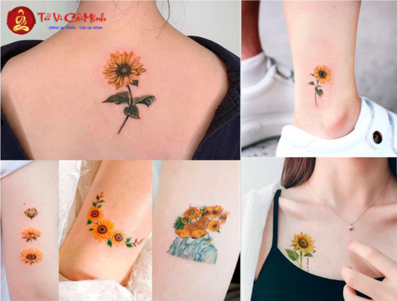 Người Mệnh Thổ Nên Xăm Hình Gì Để Tăng Vận May