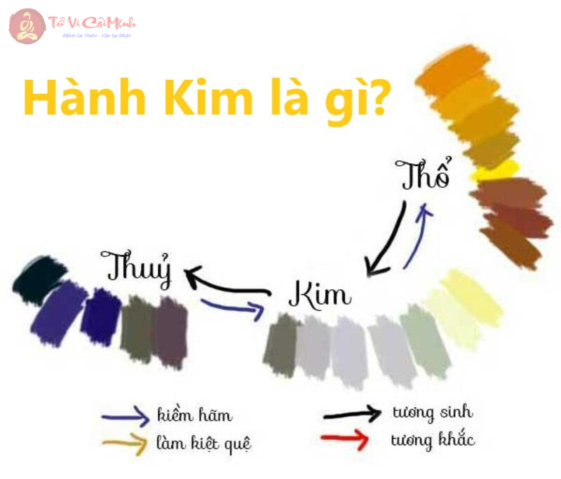 Khám Phá Ngũ Hành Kim: Bí Ẩn Sức Mạnh Ảnh Hưởng Đến Cuộc Sống Của Bạn