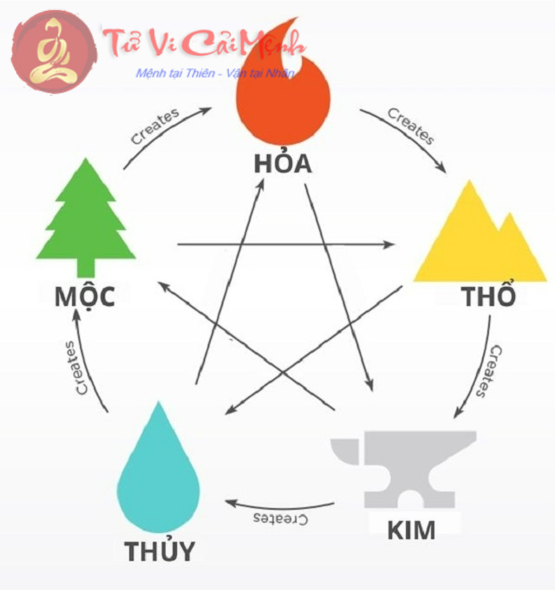 Ngũ Hành Mộc Là Gì? Khám Phá Bí Quyết Phong Thủy Cân Bằng Năng Lượng