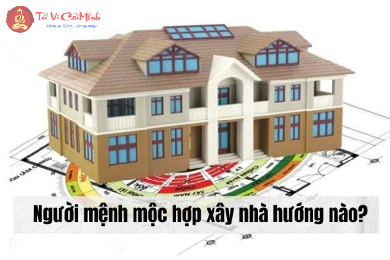 Phong Thủy Cho Người Mệnh Mộc: Cách Cân Bằng Năng Lượng Và Phát Triển Bền Vững