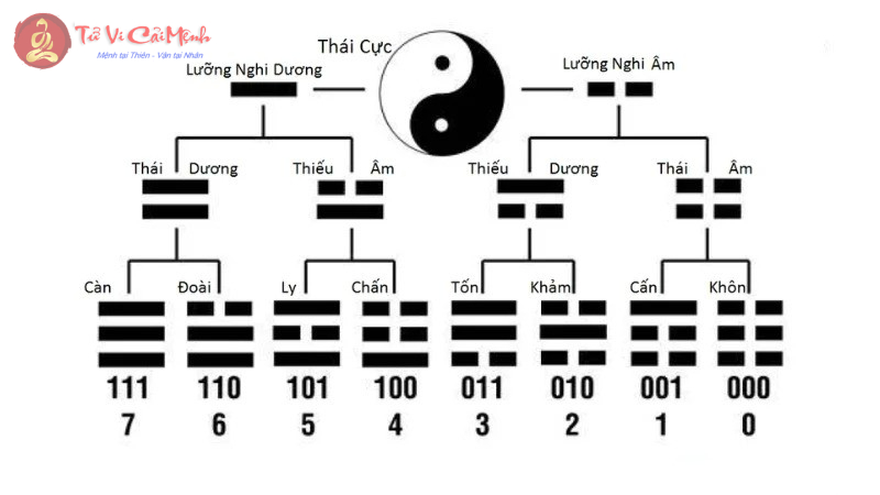 Khám Phá Cách Vẽ và Giải Nghĩa Bát Quái Đồ: Bí Mật Cân Bằng Âm Dương