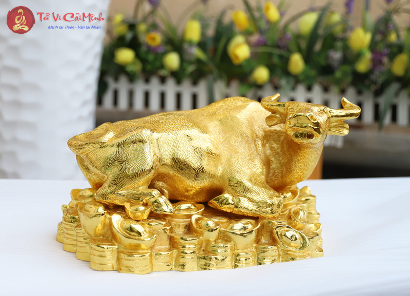 Phong thủy tuổi Sửu: Đường dẫn đến cuộc sống viên mãn và thịnh vượng