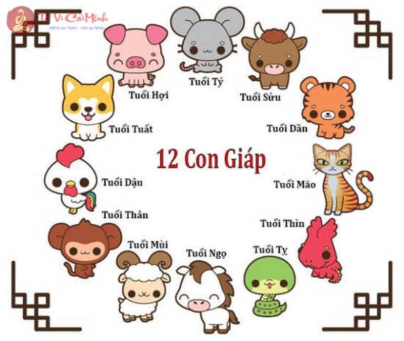 Khám Phá Bí Mật 12 Con Giáp: Ứng Dụng Phong Thủy Mang Lại May Mắn và Thịnh Vượng