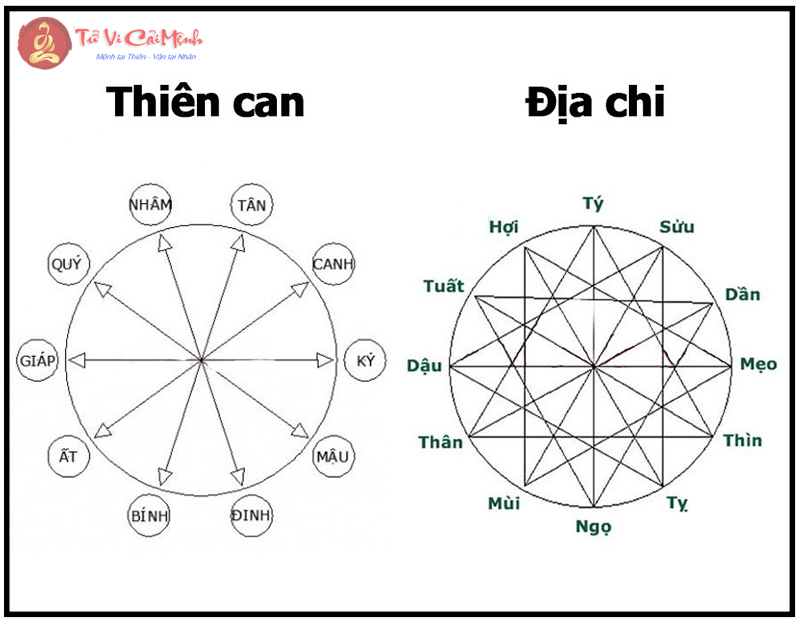 Khám Phá Thiên Can và Địa Chi: Bí Mật Vận Mệnh Và Phong Thủy Nhà Ở