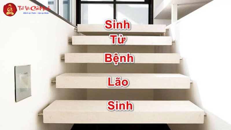 Bậc Tam Cấp Sai Phong Thủy – Nhà Bạn Đang Mất Hết Tài Lộc Mà Không Biết?