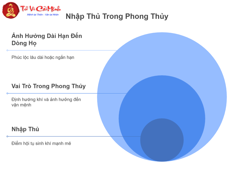 Nhập Thủ Trong Phong Thủy: Bí Ẩn Long Mạch Quyết Định Tài Vận Của Bạn!