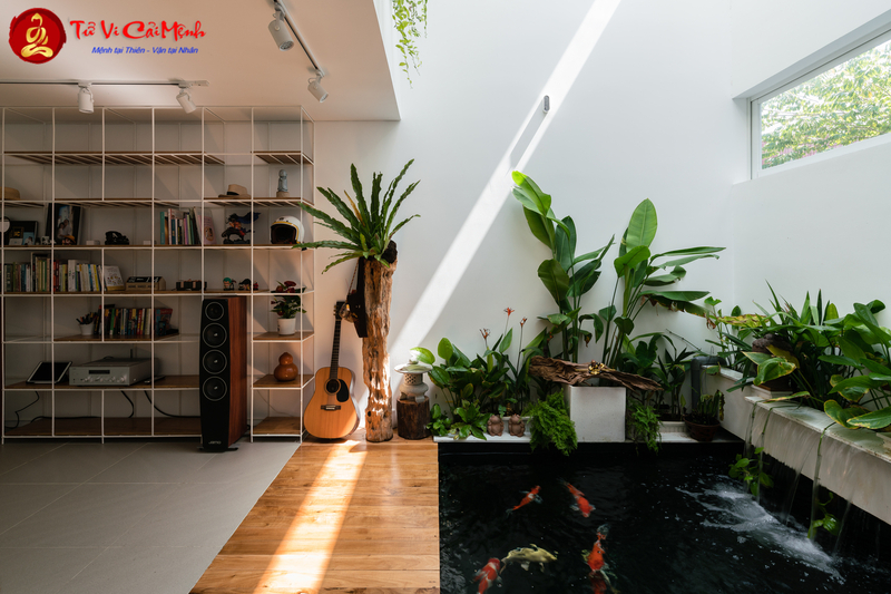 Phong Thủy Trong Kiến Trúc Bền Vững Và Nhà Ở Xanh