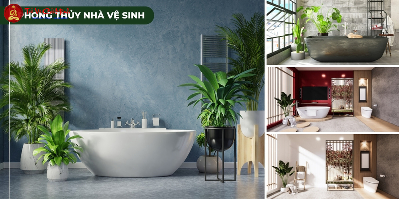 Lỗi Phong Thủy Nhà Vệ Sinh - Cách Hóa Giải Để Tránh Vận Xui Tài Lộc