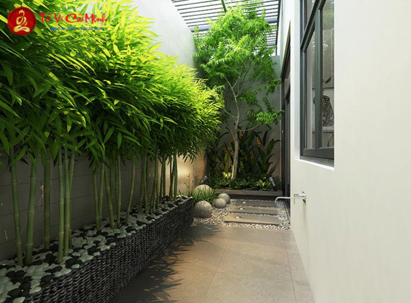 Sân Vườn Sau Nhà: Bố Trí Hợp Phong Thủy Mang Lại May Mắn