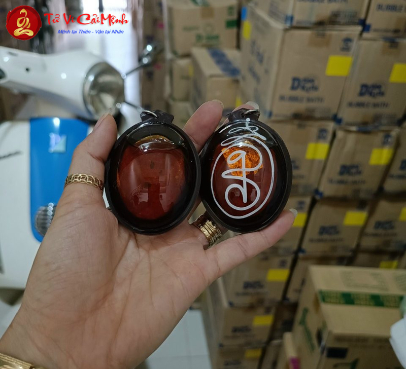 Nhau Mèo Trong Phong Thủy - Phân Tích Từ Góc Nhìn Văn Hóa Dân Gian