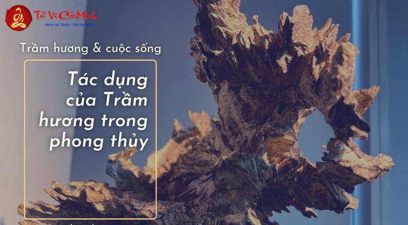 Trầm Hương Trong Phong Thủy: Bí Quyết Thanh Tẩy Không Gian Và Thu Hút May Mắn