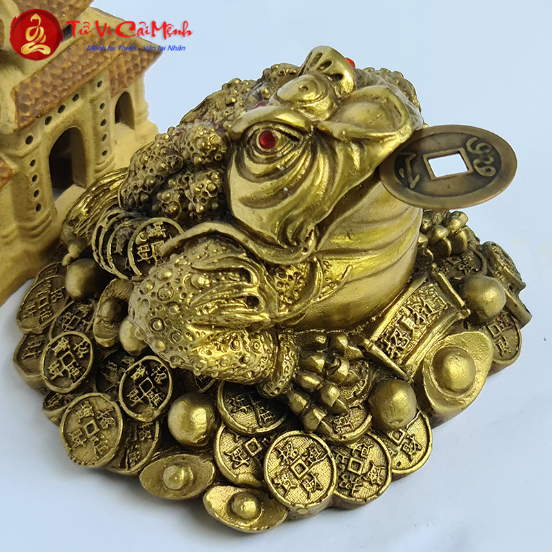 Ý Nghĩa và Tác Dụng của Thiềm Thừ trong Phong Thủy